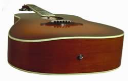 wood song goldtone guitar